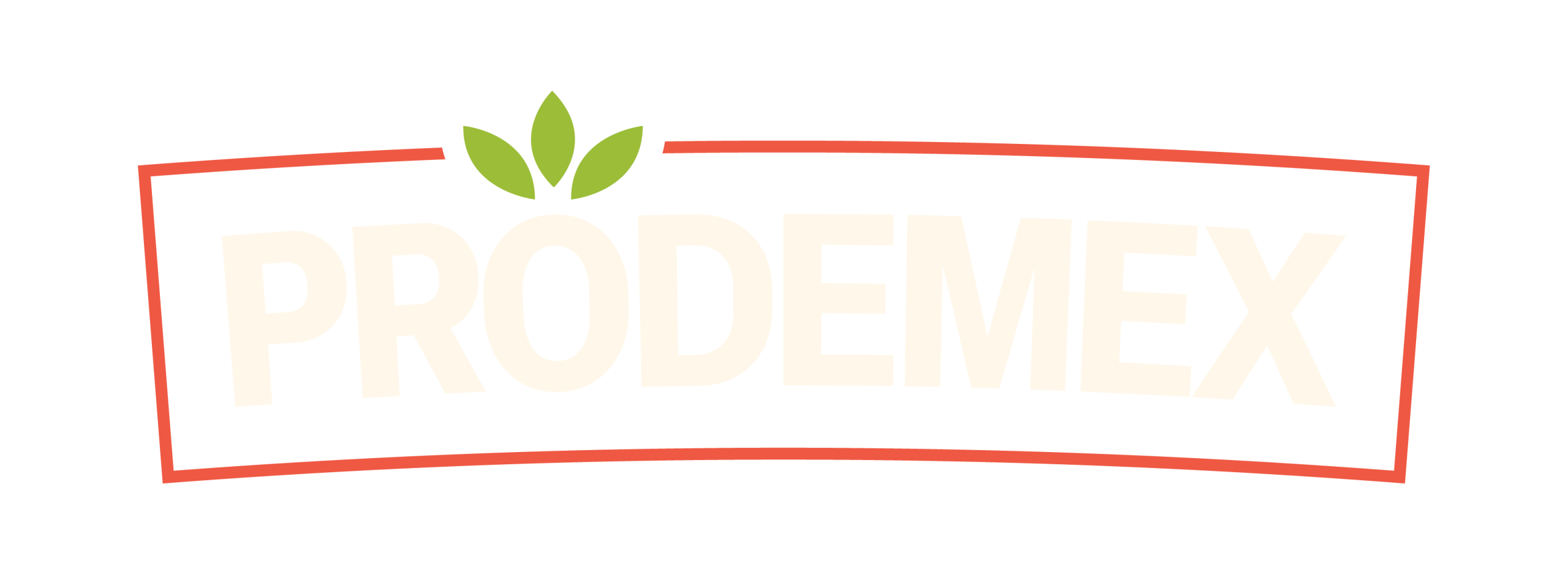 Prodemex Logo