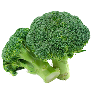prodemex brocoli